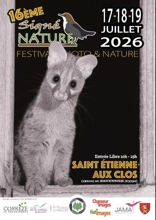 festival_photographie.jpg (291 827 bytes)